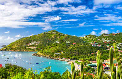 Rum on St. Barts Archives